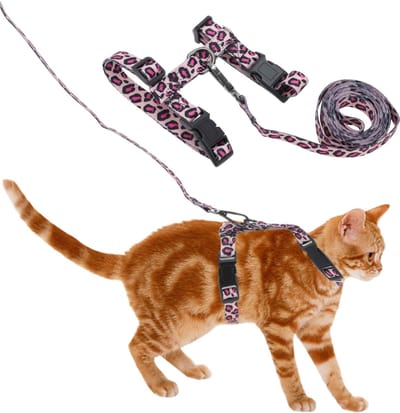 Dailygoods- Kat Tuigje Ontsnappingsbestendig - Lijn Set - Verstelbaar - Lichtgewicht - Zacht Nylon - Comfortabel voor Katten - Kat Harnas