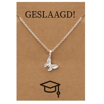 Geslaagd Cadeau Ketting - Engelen Vleugels voor Geluk Sieraad - Zilverkleurig - Gefeliciteerd - Pax Amare