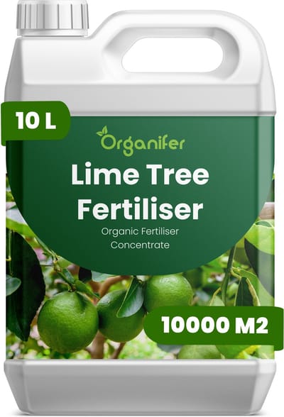Vloeibare Meststof Voor Limoenboom 10 L Voor 10000 M2 - Npk 2-1-8 - Citrus - Boomgroei - Kroonstructuu - Bloei - Vruchtzetting - Smaakkwaliteit - Wortelontwikkeling - Sappigheid - Droogtebestendig - Hittebestendig - Diepgroen Blad - Organifer