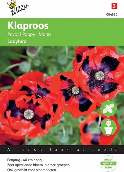 Buzzy® Papaver commutatum Lady Bird