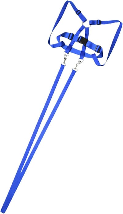 Paardenleider Kinderen - Tuig Lijnen - Rollenspel Buitenspelen - Slijtvaste Polyester - 200cm Lengte - Blauw