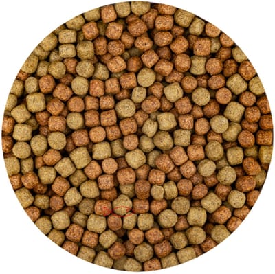 Vivani Grower 6 mm 15 kg