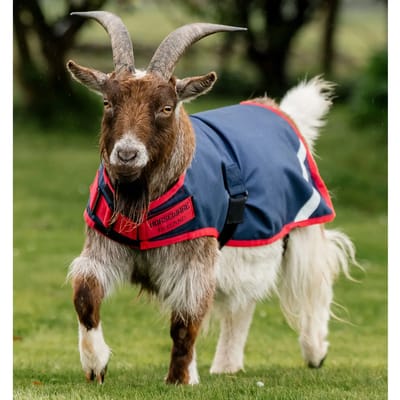 Geitenjas Horseware 200g