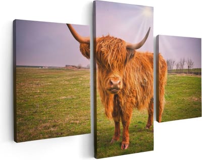 Artaza Canvas Schilderij Drieluik Bruine Schotse Hooglander Koe - Kleur - 90x60 - Foto Op Canvas - Canvas Print