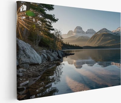 Saammp Muurcirkel Hout - Kolibrie op tak met roze bloesem - Natuur - Dieren- Ø 90 - Wandcirkel - Wanddecoratie Cirkel - Muurdecoratie Kinderkamer - Slaapkamer decoratie - Rond Schilderij