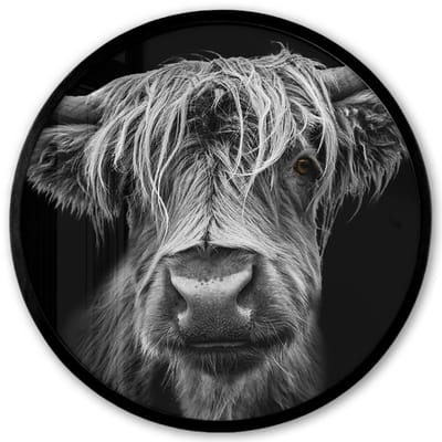 Poster in lijst Rond - Fotolijst 40x40 cm - Posters - Schotse Hooglander - Horens - Zwart - Wit - Koe - Wild - Dieren - Ronde posterlijst zwart - Decoratie - Wanddecoratie woonkamer - Muurdecoratie slaapkamer