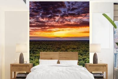 Behang - Fotobehang Bos - Nacht - Lucht - Horizon - Bomen - Breedte 160 cm x hoogte 220 cm