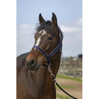 Nylon paardenhalster Equithème light