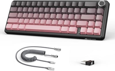 Draadloos Mechanisch Toetsenbord 60% met Knob, Hot-swap, 2.4G/USB-C/BT5.0 - Mini RGB Gaming Toetsenbord - Zwart/Roze