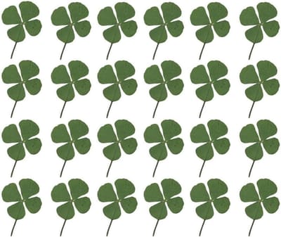 Natuurlijke Gedroogde Bloemen - 24 Stuks Geperste Klaverbladeren voor Ambachten, Sieraden en Harsprojecten