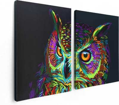 Artaza Canvas Schilderij Tweeluik Kleurrijke Uil - Abstract - 120x80 - Foto Op Canvas - Canvas Print