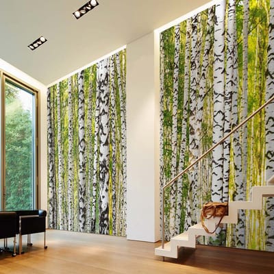 Fotobehang BirchForest DD109165 A.S. Création AP Digital 4 | Goedkoop fotobehang