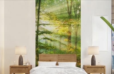 Behang - Fotobehang Zon - Bos - Bomen - Natuur - Herfst - Breedte 120 cm x hoogte 240 cm