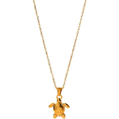 Punk Schildpad Ketting Kettingen Voor Vrouwen Roestvrij Staal Schildpad Hanger Ketting Feest Bruiloft Kerstmis Dierlijke Sieraden Cadeau 45cm beige