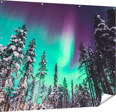 Gards Tuinposter Noorderlicht in de Bossen van Noorwegen - 150x120 cm - Tuindoek - Tuindecoratie - Wanddecoratie buiten - Tuinschilderij