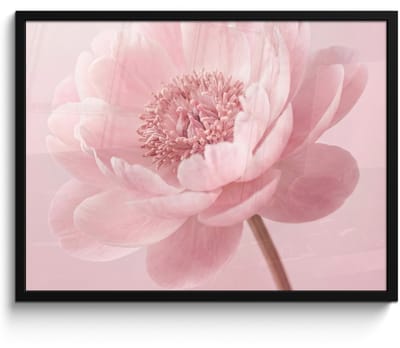 Poster in lijst - Fotolijst 80x60 cm - Posters - Bloem - Pioenroos - Roze - Posterlijst zwart - Decoratie - Wanddecoratie woonkamer - Muurdecoratie slaapkamer