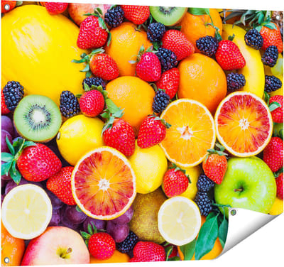 Gards Tuinposter Kleurrijke Fruit Achtergrond - 100x80 cm - Tuindoek - Tuindecoratie - Wanddecoratie buiten - Tuinschilderij