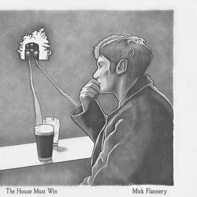 Mick Flannery - The House Must Win (2 LP)
