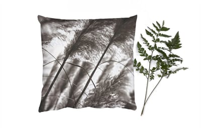 Sierkussens - Kussentjes Woonkamer - 40x40 cm - Pampasgras - Zwart - Wit - Plant