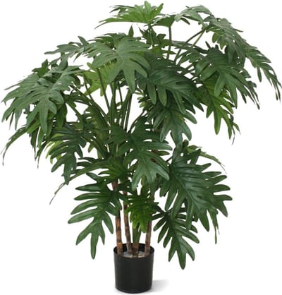 Philo Xanadu 95cm