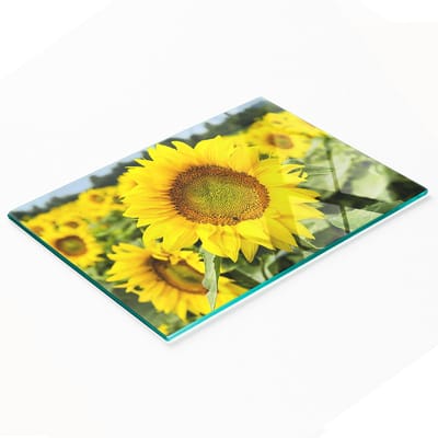 Stijlvol en duurzaam glazen bord met print van een zonnebloemveld, 80x52 cm