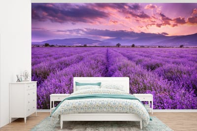 Behang - Fotobehang Lavendel - Paars - Bloemen - Veld - Breedte 375 cm x hoogte 240 cm