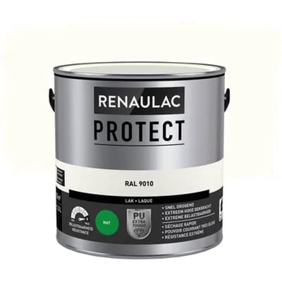 Lak Renaulac Protect Ral9010 Mat 2,5l