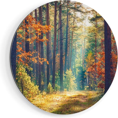 Artaza Dibond Muurcirkel Herfstbos Met Zonneschijn - Kleur - Ø 60 cm - Wandcirkel - Rond Schilderij - Voor Binnen en Buiten
