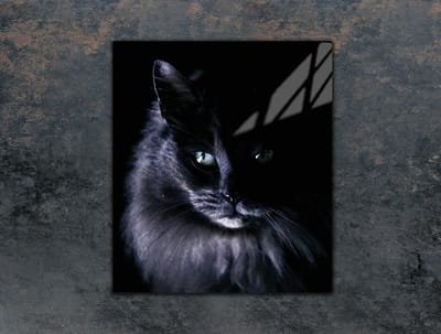 TMK ArtDeko - Snijplank - Glas - 45x52 cm - Kat