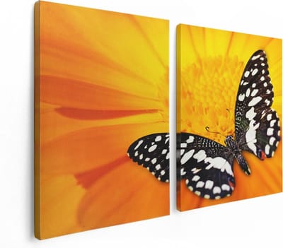 Artaza Canvas Schilderij Tweeluik Vlinder Op Een Oranje Bloem - 120x80 - Foto Op Canvas - Canvas Print