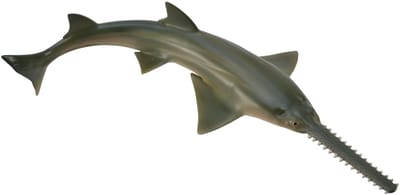 COLLECTA Figurine - Zaagvis - (M) - Zeedieren - Handgeschilderd - Miniatuur