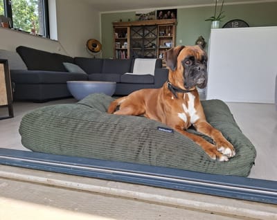 Dog's Companion Hondenkussen / Hondenbed - L - 115 x 85 cm - Hunting Double Ribcord