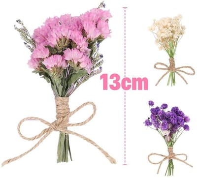 Gedroogde Bloemen 6 Sets - Natuurlijke Droogbloemen - Decoratieve Bloemen - Bloemstukken - DIY Knutselaccessoires - Geschikt voor Huisdecoratie
