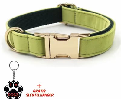 SilverAndCoco® - Groene Honden Halsband met Gratis Sleutelhanger | Velvet Hond Puppy Bandje | Hondenhalsband Suède Gouden | Kleding Decoratie | Hondenbandje Huisdier - Groen / Goud