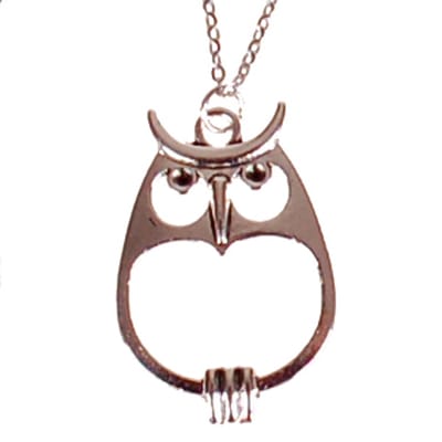 Kinderketting RVS 45cm - Hangertje Uil Zilverkleurig 3,5x2cm