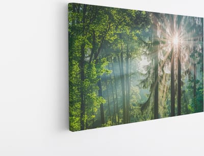 Saammp Canvas Schilderij - Zon tussen de bomen - Bos - Landschap - Natuur - 30x20 - Foto op canvas - Wanddecoratie - Muurdecoratie Woonkamer - Slaapkamer decoratie - Canvas Print