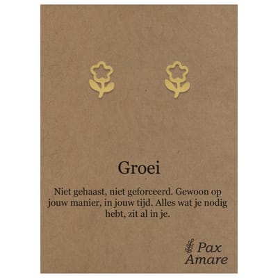 Stainless Steel Bloem Oorbellen op Cadeau Kaartje - Groei - ± 10x10mm Oorknopjes Zilverkleurig Roestvrij Staal - Pax Amare