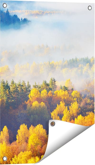 Gards Tuinposter Gekleurde Herfstbos met Mist - 40x60 cm - Tuindoek - Tuindecoratie - Wanddecoratie buiten - Tuinschilderij