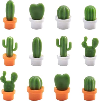 Solidchoice - Set van 12 Koelkastmagneten in Cactusbal Vorm