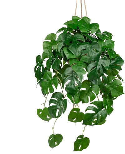 Hangplant als echte Monstera kunstplanten in pot, 20 cm, potplanten, decoratieve planten voor tafel, badkamer, woonkamer