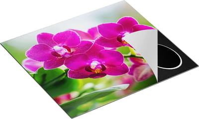 Chefcare Inductie Beschermer Roze Orchidee Bloemen - 60x50 cm - Afdekplaat Inductie - Kookplaat Beschermer - Inductie Mat