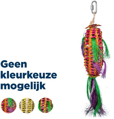 Back Zoo Nature Melon Pinata - Small