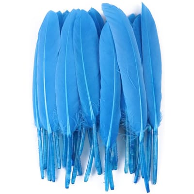 50/100/200 stuks Blauwe Ganzenveren Harde Schacht 4-6inch/10-15cm Echte Natuurlijke Zwanenveer Huis Decoratief Dromenvanger Handwerk 50Pieces
