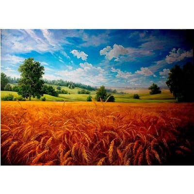 5D DIY Diamantschilderij Landschapsserie Volle Ronde Diamant Geborduurde Kruissteek 20X30CM blue