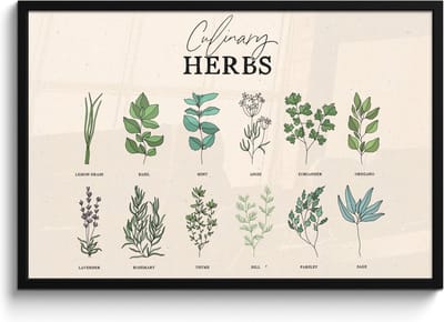 Fotolijst inclusief poster - Posterlijst 90x60 cm - Posters - Kruiden - Planten - Herbs - Groen - Vintage - Foto in lijst - Keuken decoratie muur - Wanddecoratie accessoires - Muurdecoratie - Schilderijen
