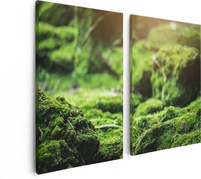 Artaza Canvas Schilderij Tweeluik Groen Mos Bedekt over Stenen - 80x60 - Foto Op Canvas - Canvas Print