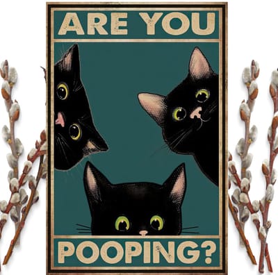 Bovista Are You Pooping Cat - Are You Pooping - Have A Nice Poop - Your Butt Napkins My Lord - Poster - Grappige Poster - 21x30cm