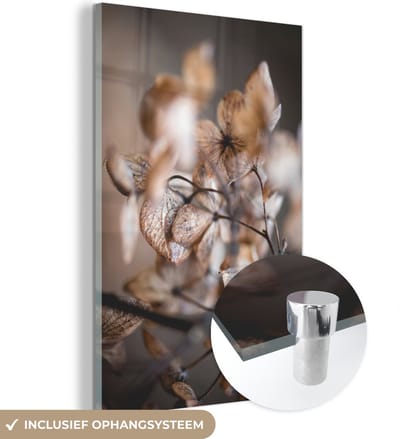 MuchoWow® Glasschilderij 40x60 cm - Schilderij acrylglas - Macro - Hortensia - Stilleven - Foto op glas - Schilderijen
