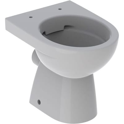 Geberit Renova pedestal WC, horizontal outlet, Rimfree 500.480.01.2