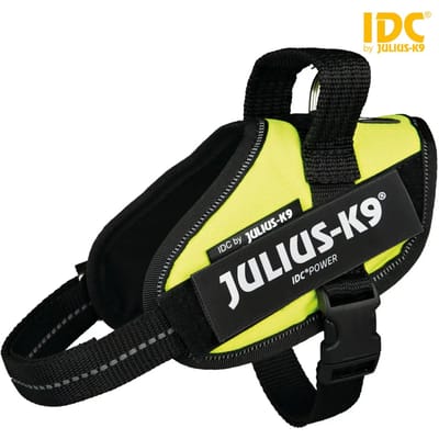 Julius-K9 IDC Powertuig - Hondentuig - XS - Mini-Mini - Neon